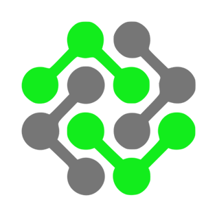 Salient Logo